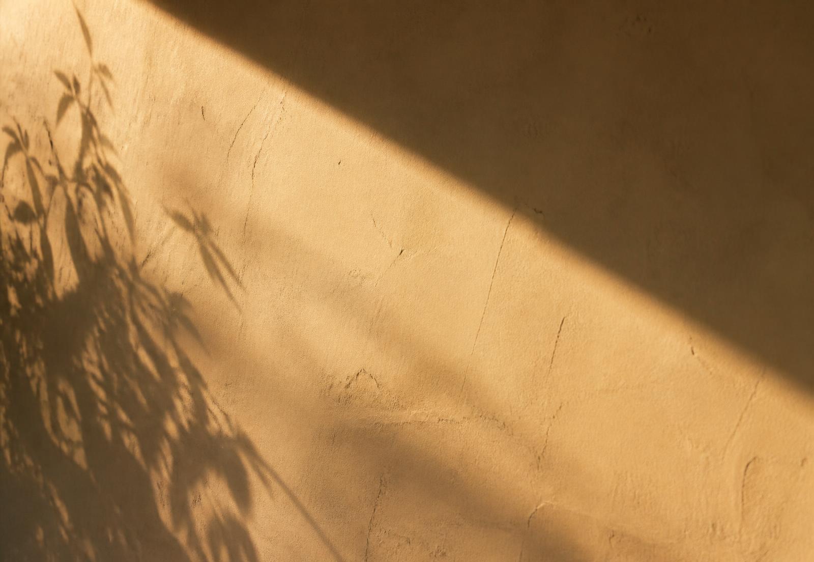 Late afternoon California light across a plaster wall